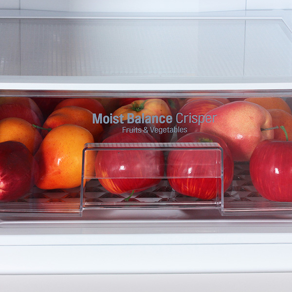 Холодильник с нижней морозильной камерой LG GA-M539ZEQZ — фото 5