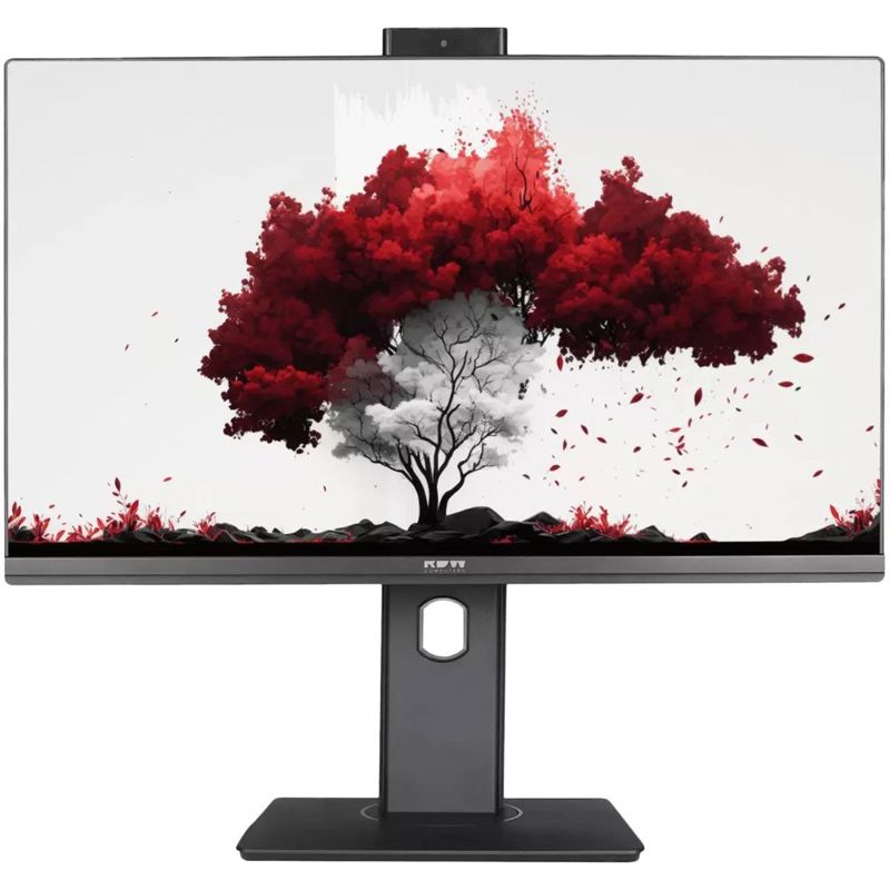 Монитор РДВ ТЕХНОЛОДЖИ RDW2402K/F13B360V2A1