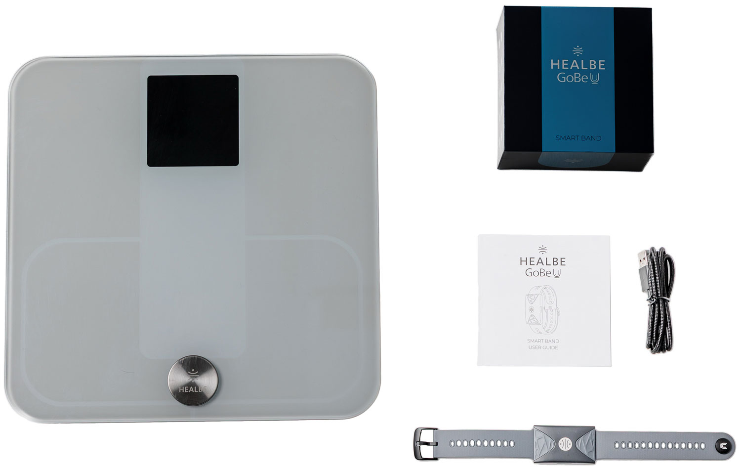 Фитнес-браслет Healbe Старт Контрол 2 HSCW-4GR