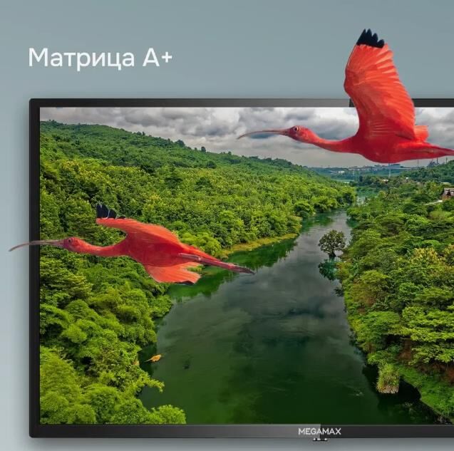 Телевизор Megamax LED 32" HD 32MG11HSM — фото 6