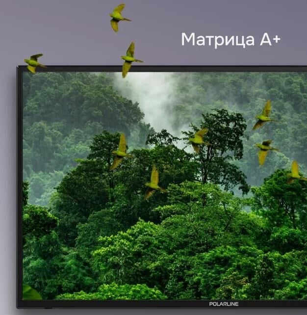 Телевизор Polarline LED 32" HD 32PL55TC-SM — фото 6