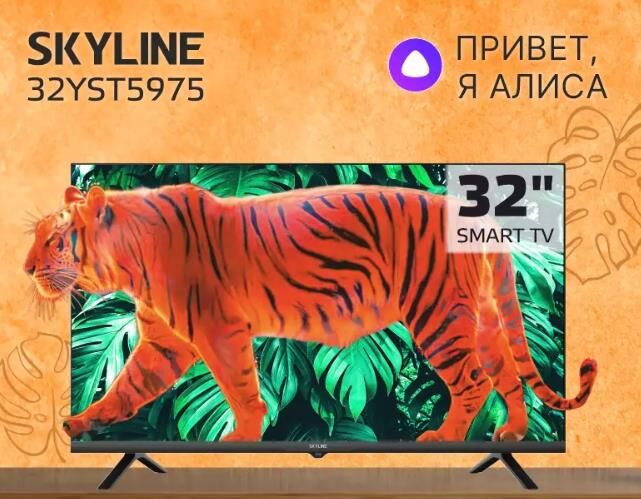 Телевизор Skyline LED 32" HD 32YST5975 — фото 4