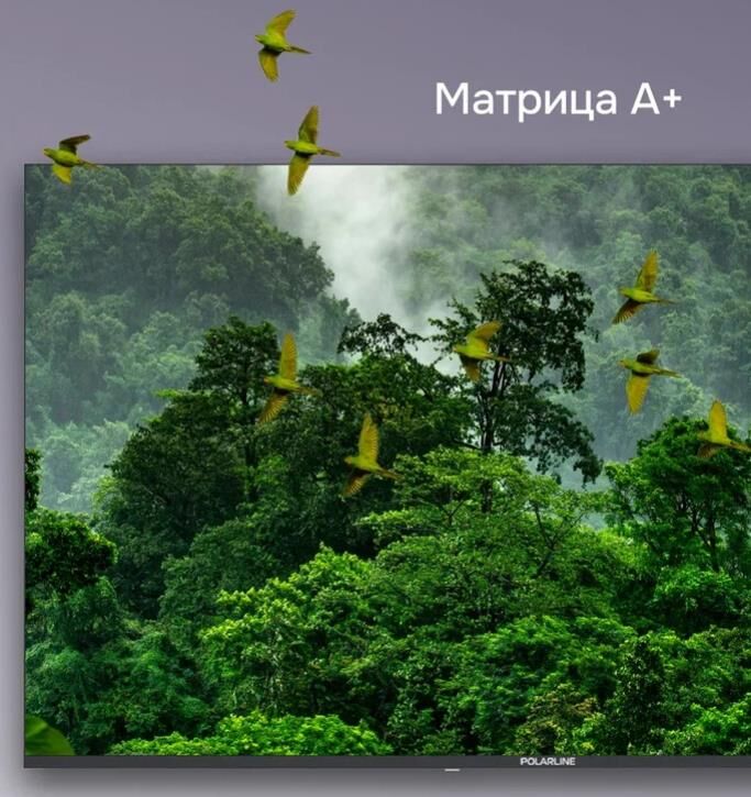 Телевизор Polarline QLED 50" 4K 50PQ71STC-SM — фото 9