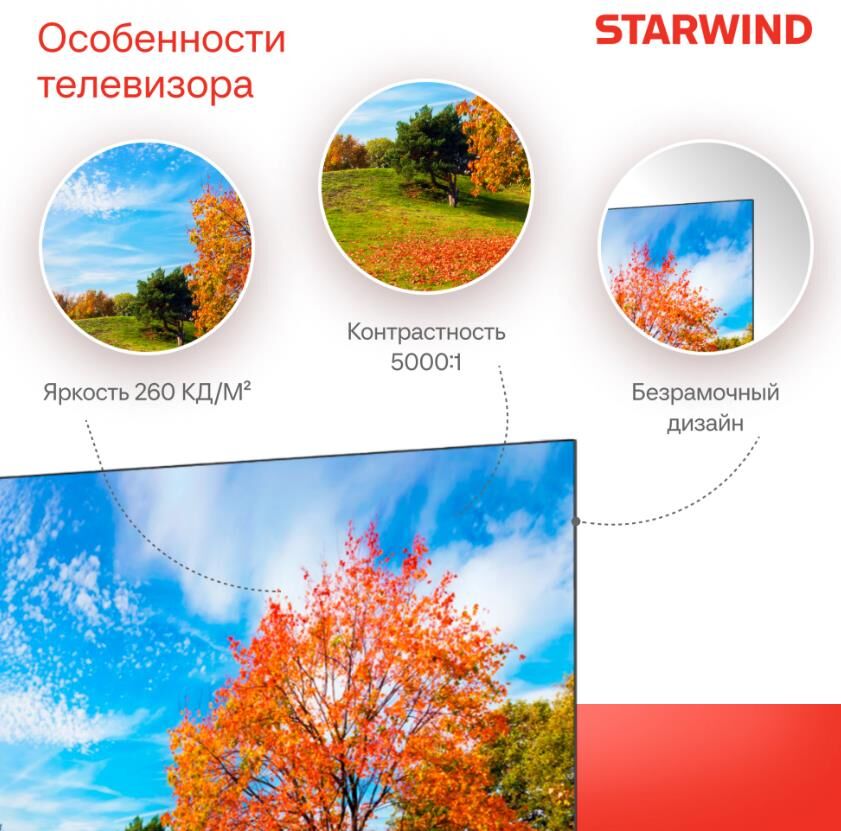 Телевизор LED Starwind 50" SW-LED50UG403 Smart Яндекс.ТВ Frameless черный/4K Ultra HD/DVB-T/60Hz/DVB — фото 7