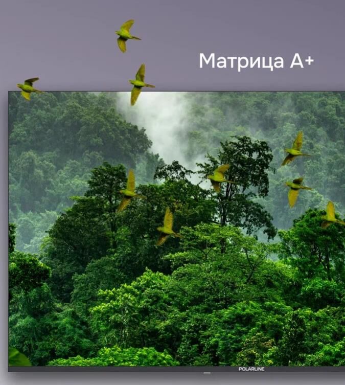Телевизор POLARLINE 55PQ71STC-SM UHD SMART TV Android безрамочный — фото 10
