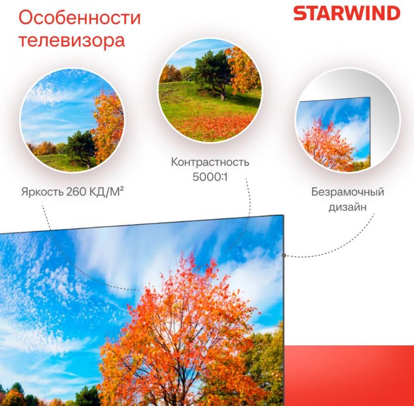 Телевизор LED Starwind 55" SW-LED55UG403 Smart Яндекс.ТВ Frameless черный/4K Ultra HD/DVB-T/60Hz/DVB — фото 6