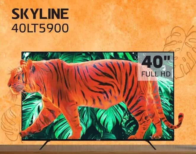 Телевизор Skyline LED 40" Full HD 40LT5900