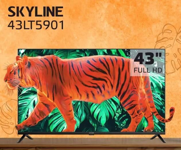 Телевизор SKYLINE 43LT5901 — фото 4