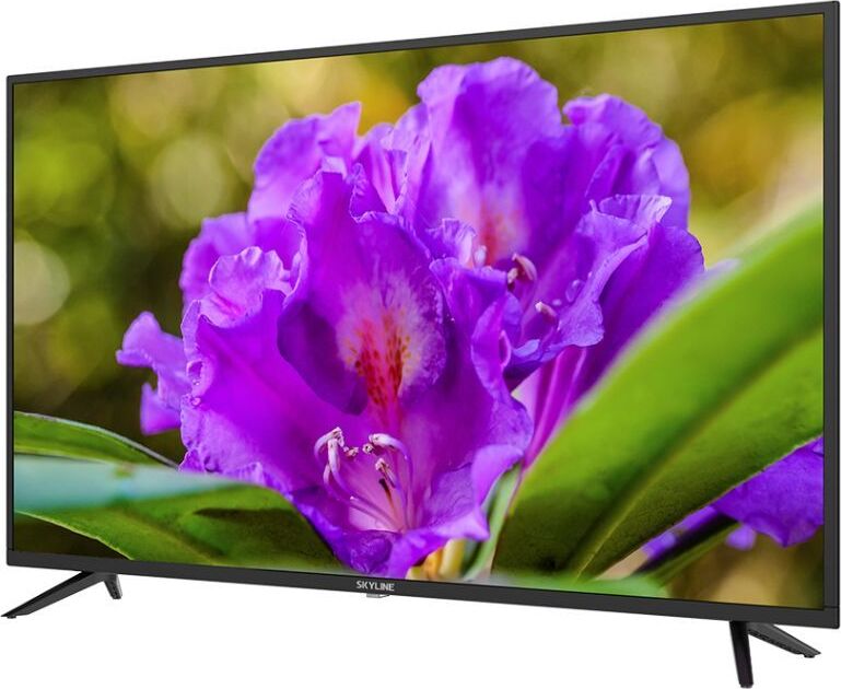 Телевизор SKYLINE 43LT5900 — фото 4