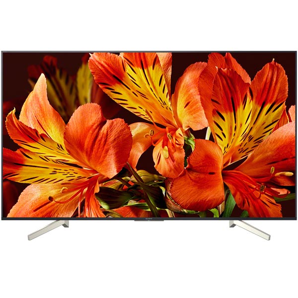 Телевизор Sony KD-65XF8596