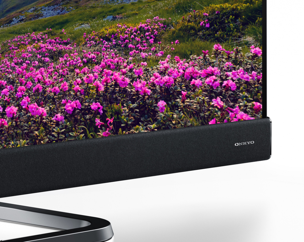 Телевизор LED TCL 55" L55C8US черный/Ultra HD/60Hz/DVB-T2/DVB-C/DVB-S2/USB/WiFi/Smart TV (RUS) — фото 2