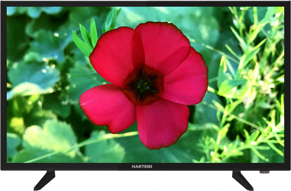 Телевизор LED Hartens 43" HTV-43FHD03B черный/FULL HD/50Hz/DVB-T/DVB-T2/DVB-C/USB (RUS) — фото 6