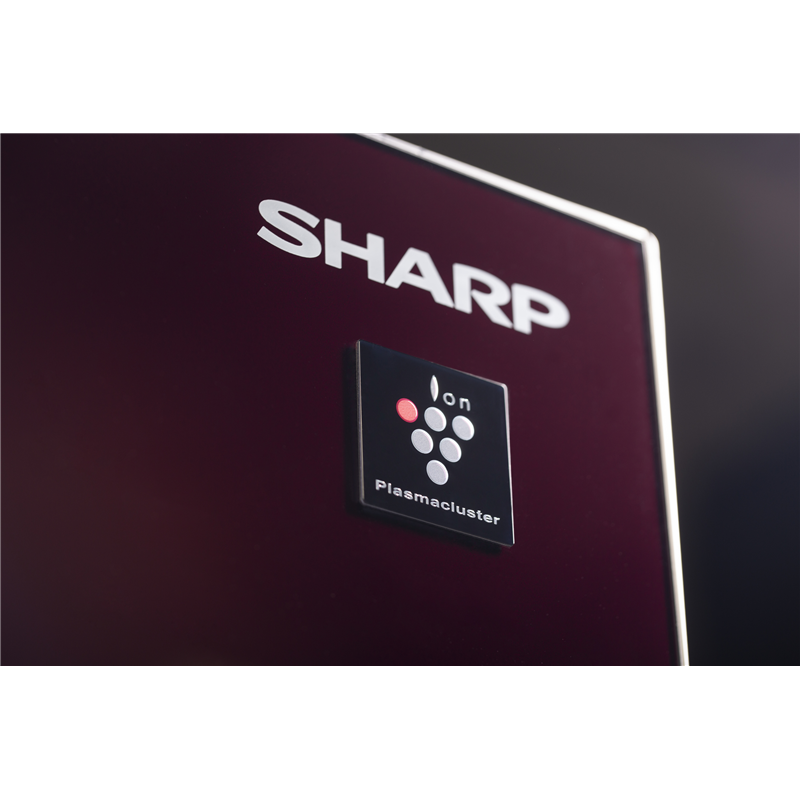 Холодильник Sharp SJ-GX98PRD — фото 3