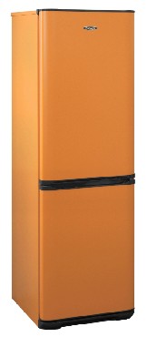 Холодильник  БИРЮСА T320NF 310л оранжевый