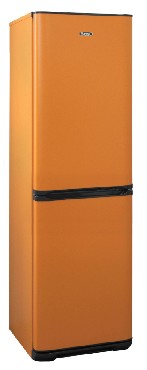 Холодильник  БИРЮСА T340NF 340л оранжевый