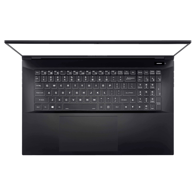 Ноутбук Dream Machines RS3060-17EU50 — фото 4