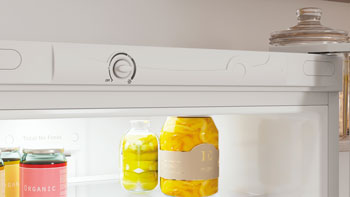 Холодильник Indesit ITR 4180 W — фото 6