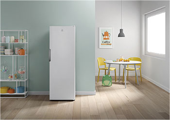 Морозильная камера Indesit DSZ 5175 — фото 3