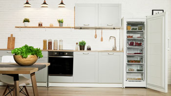 Морозильная камера Indesit DSZ 5175 — фото 5