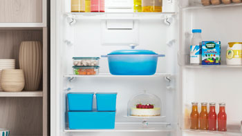 Холодильник Indesit ITR 5200 W — фото 6