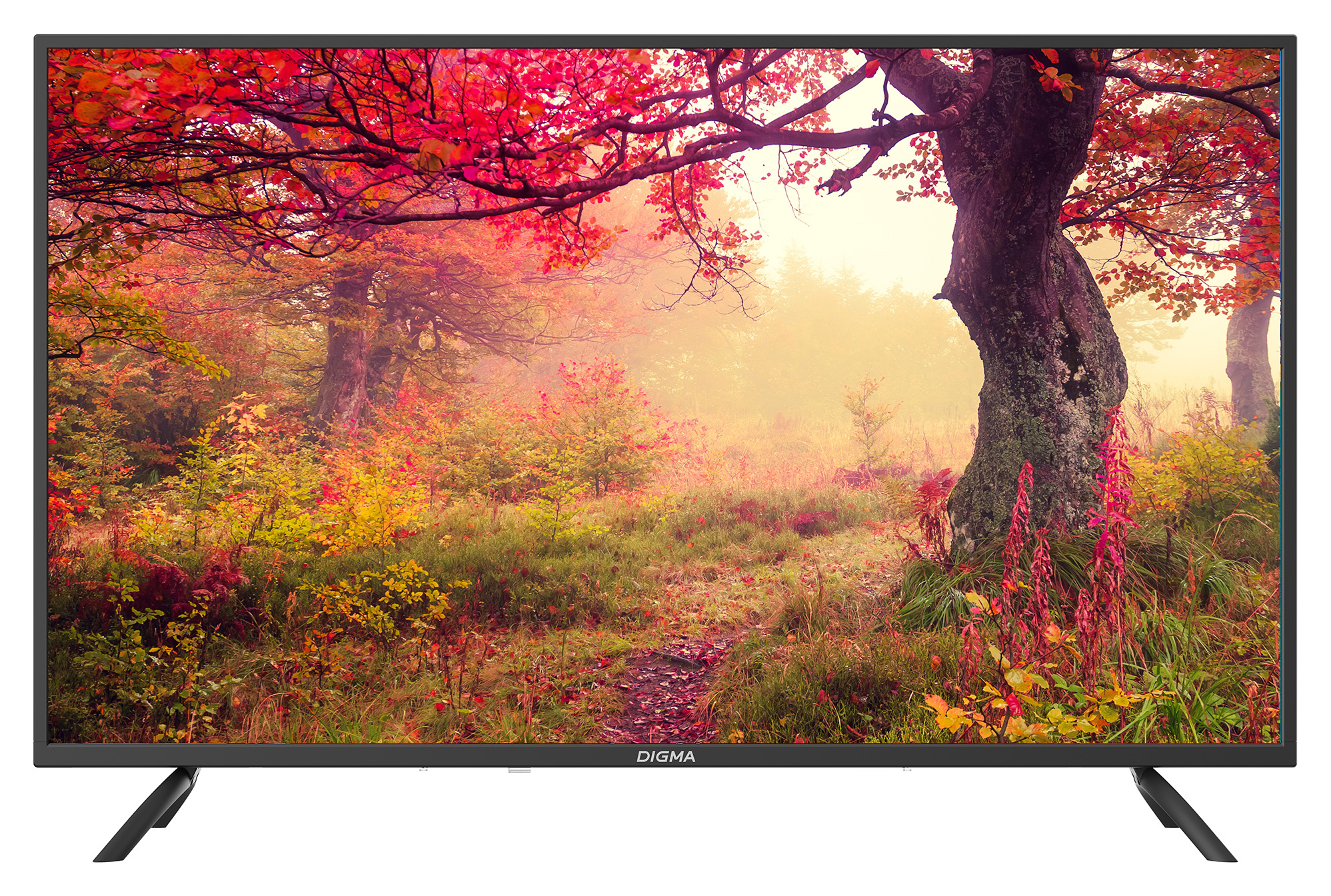 Телевизор LED Digma 43" DM-LED43MBB21 Frameless черный FULL HD 60Hz DVB-T DVB-T2 DVB-C DVB-S DVB-S2 USB