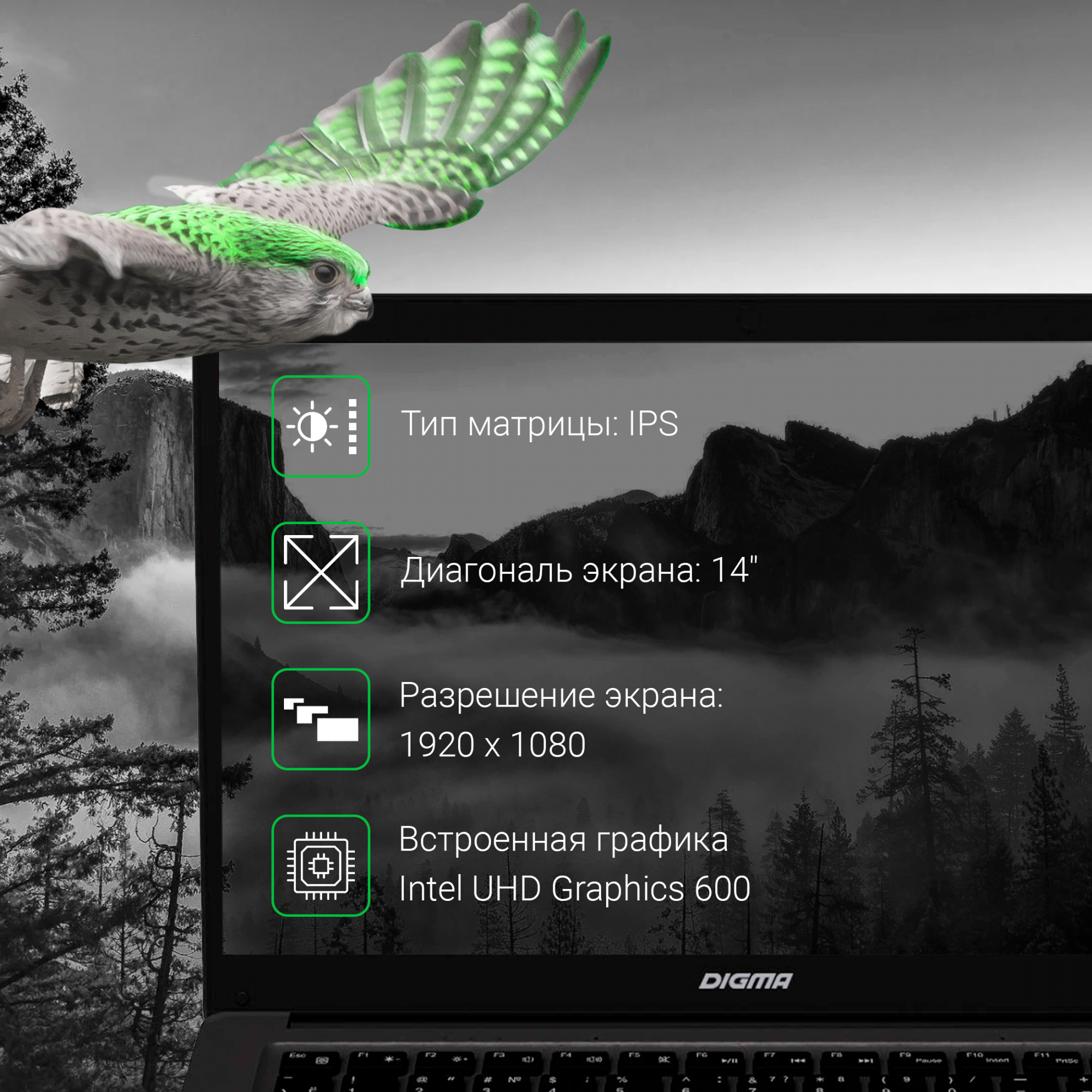 Ноутбук Digma EVE 14 C414 Celeron N4000 4Gb eMMC128Gb Intel UHD Graphics 600 14" IPS FHD (1920x1080) Windows 11 Home Single Language 64 black WiFi BT Cam 5000mAh (NCN144BXW03) — фото 3
