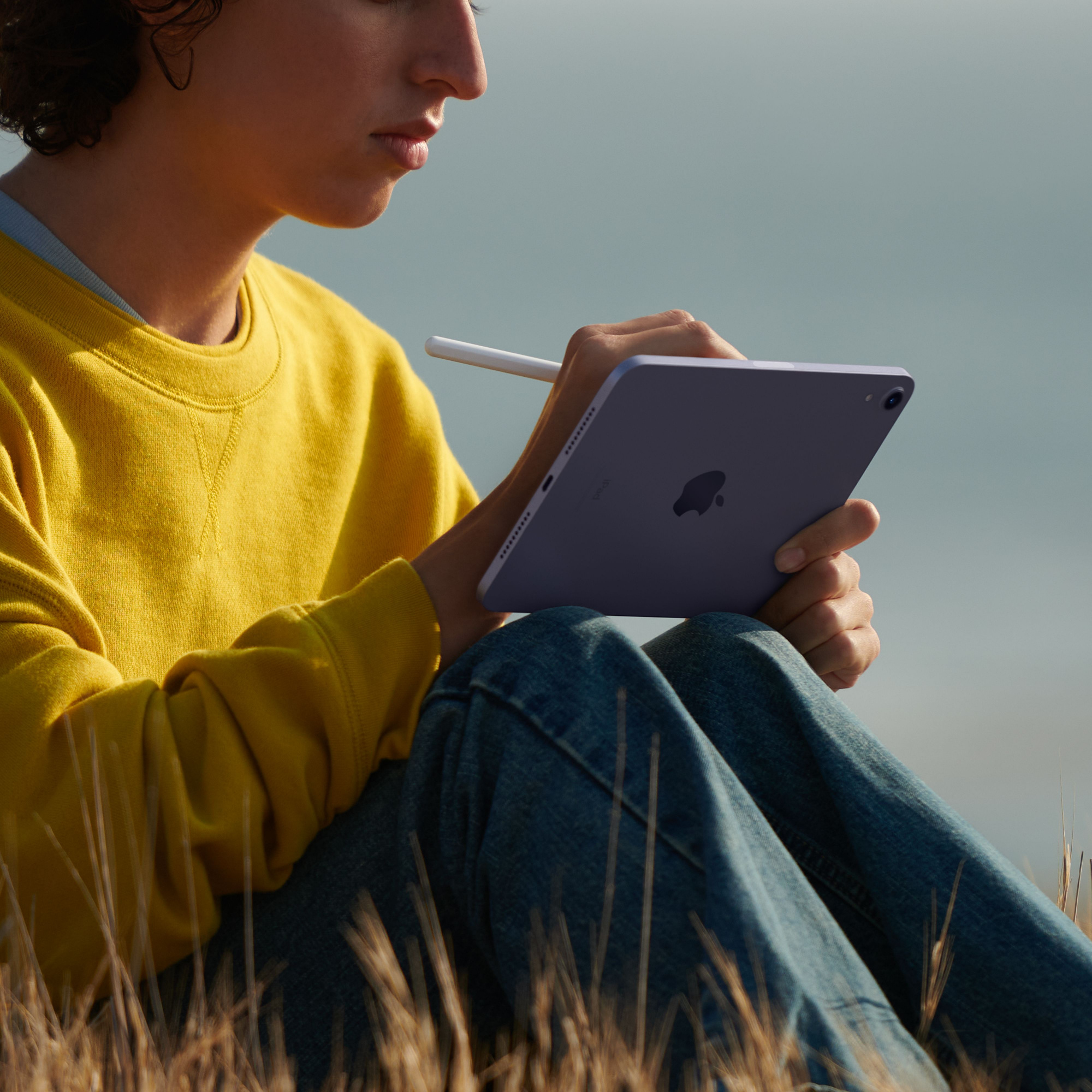 Планшет Apple iPad mini 2021 A2567 A15 Bionic 6С ROM256Gb 8.3" IPS 2266x1488 iOS серый космос 12Mpix 12Mpix BT WiFi Touch 10hr — фото 7