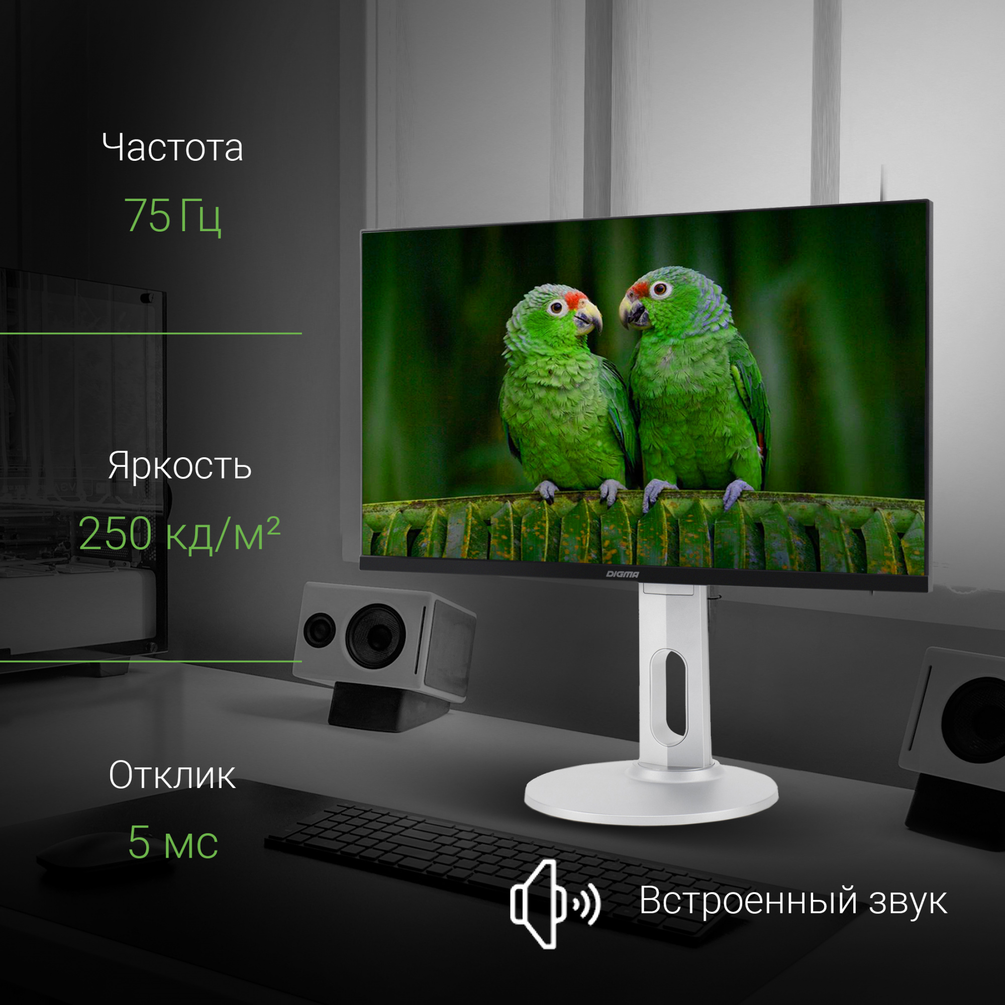 Монитор Digma 23.8" DM-MONB2408 черный IPS LED 5ms 16:9 HDMI M/M матовая HAS Piv 250cd 178гр/178гр 1920x1080 75Hz DP FHD USB 4.8кг — фото 8