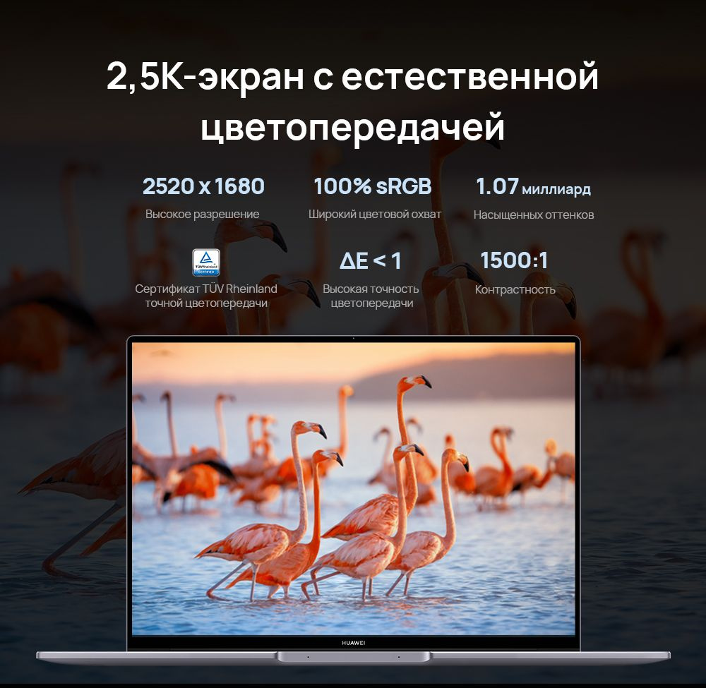 Ноутбук Huawei MateBook 16S (53013SDA) — фото 6