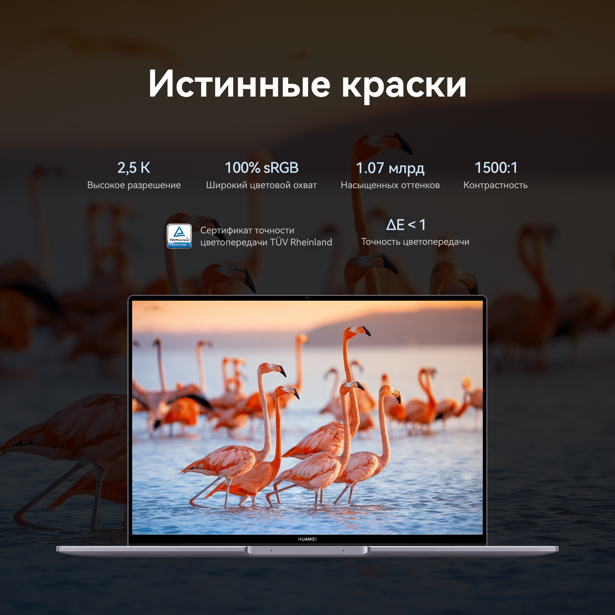 Ноутбук Huawei MateBook 16S (53013SCY) — фото 16