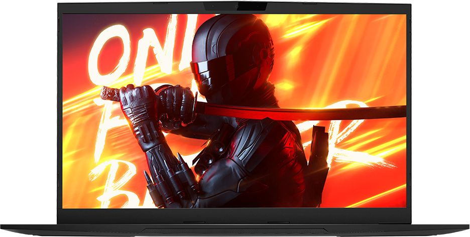 Ноутбук Maibenben X668 Core i7 12700H 32Gb SSD1Tb NVIDIA GeForce RTX 3070 8Gb 17.3" IPS QHD (2560x1440) Linux black WiFi BT Cam 4100mAh (X668QSJELBRE0) — фото 10